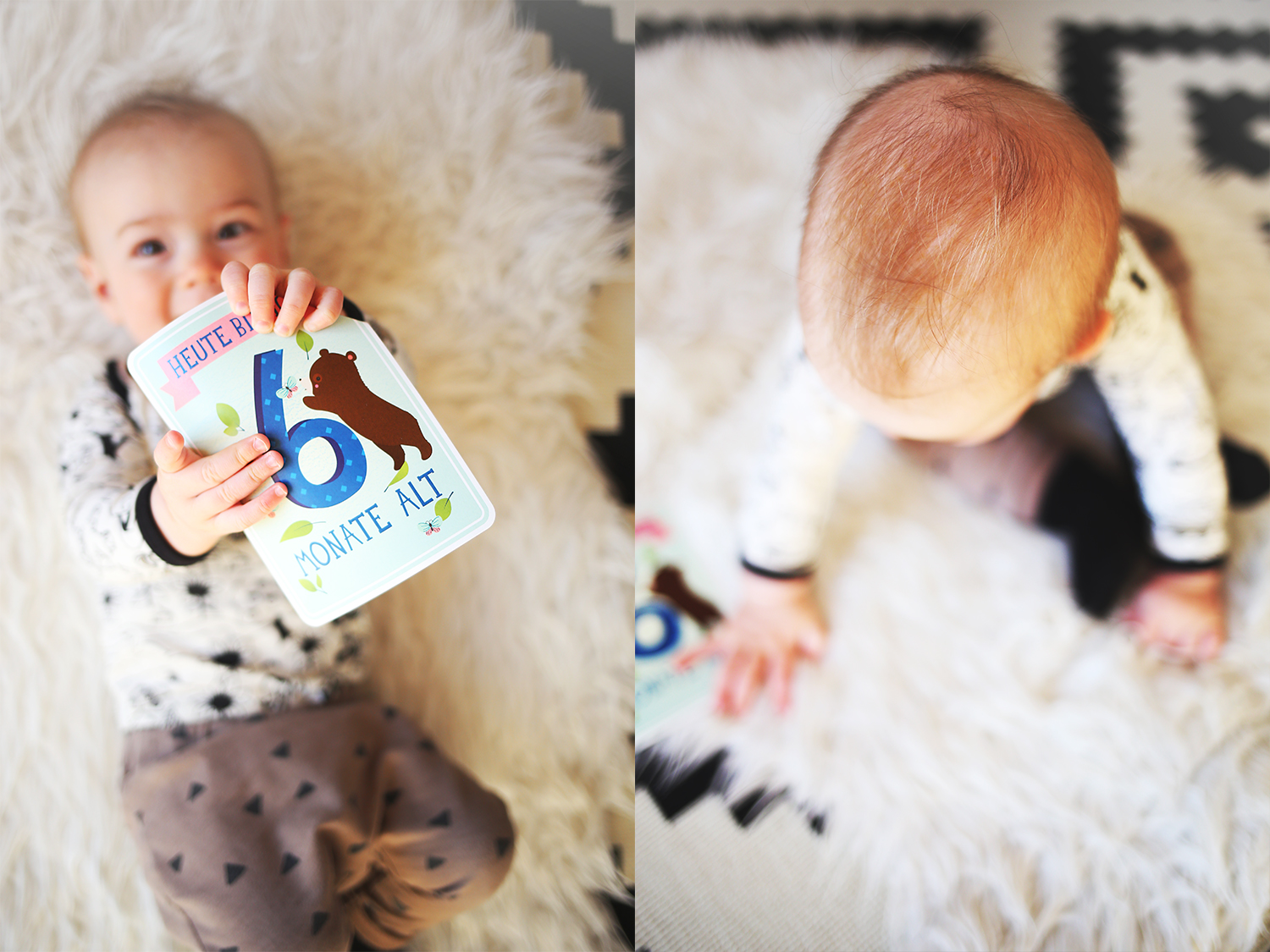 Baby-Update-6-month-Monate-Babyglueck-Post-26-Wochen-Babyboy-Elternglueck-Milestone-Baby-Cards-Photography